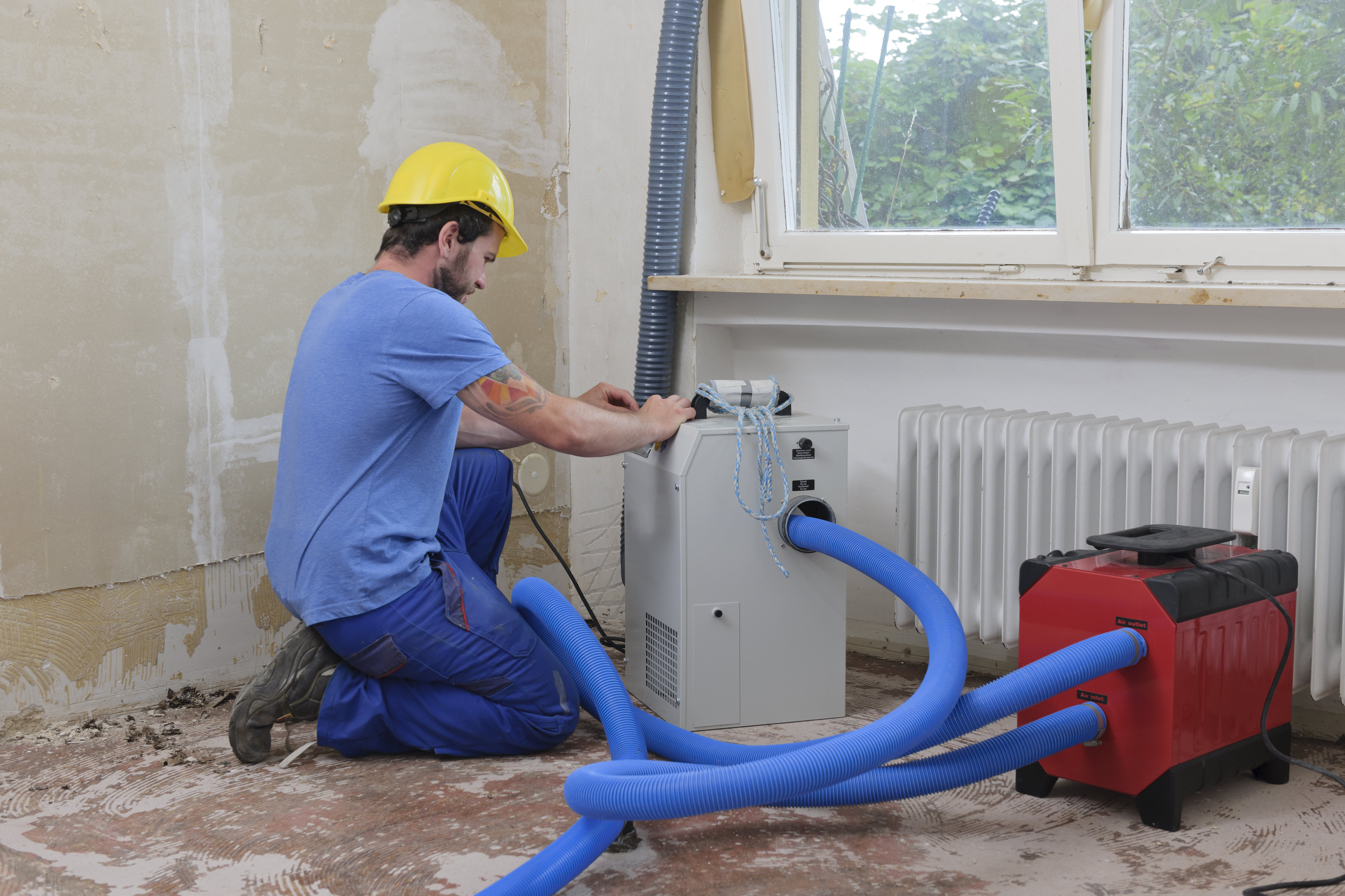 Dehumidification--in-Pasadena-Maryland-Dehumidification-916-image