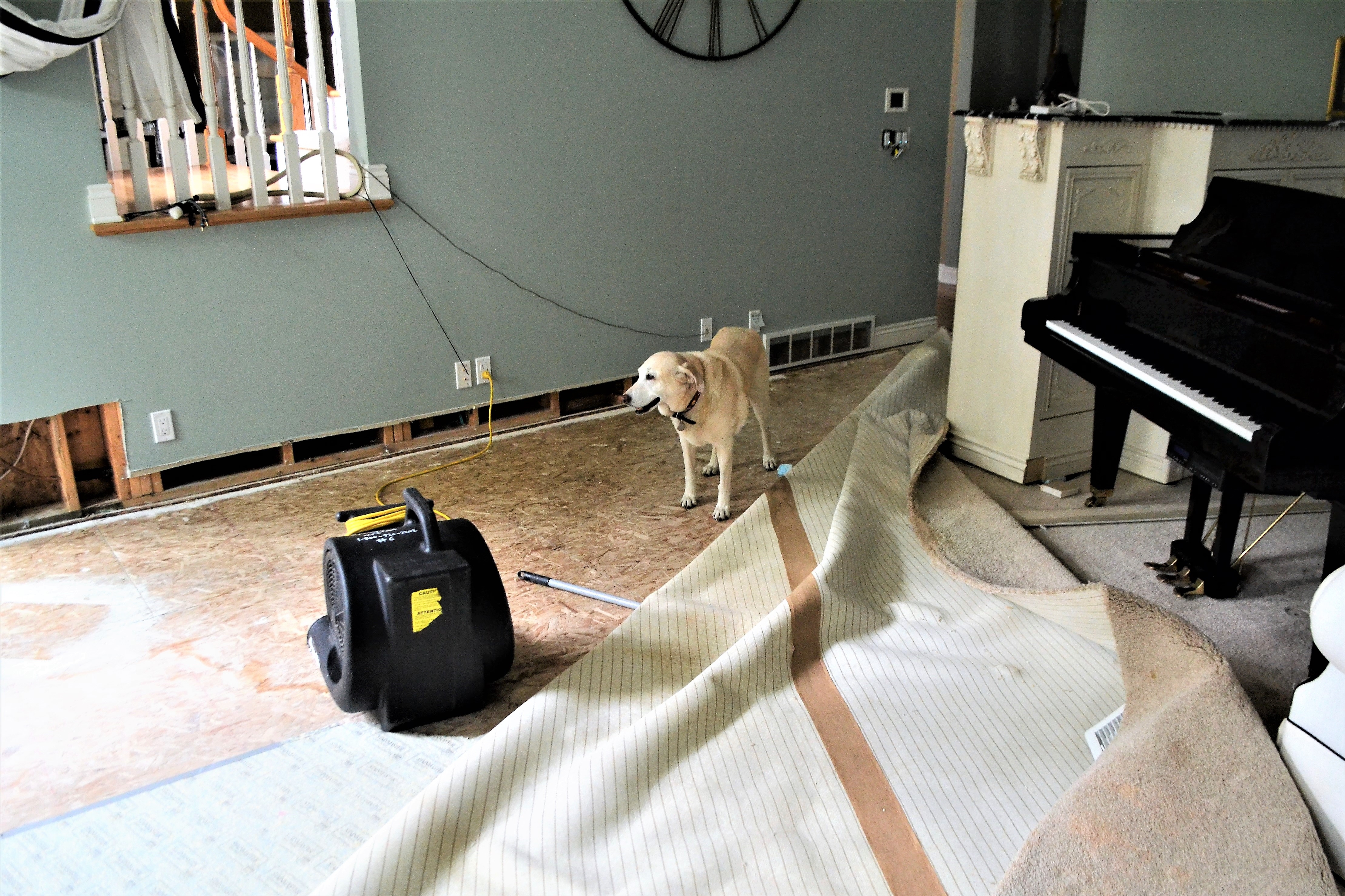 Drying-and-Deodorizing--in-Walled-Lake-Michigan-drying-and-deodorizing-walled-lake-michigan.jpg-image